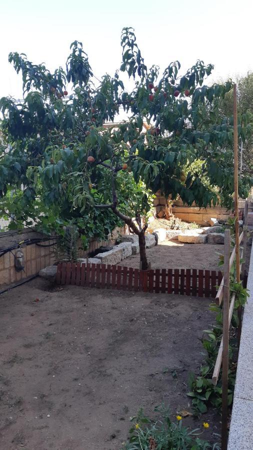 Appartamento Orticello Cala Gonone Εξωτερικό φωτογραφία
